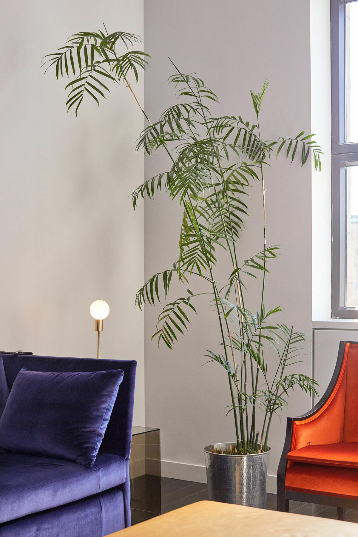 Hotel St Paul, Montreal, A Member Of Design Hotels Wnętrze zdjęcie